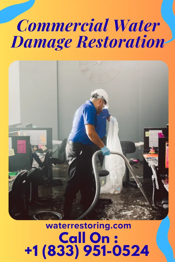 Commercial Water Damage Restoration in Eros, LA